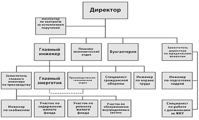 Структура общества с ограниченной ответственностью схема