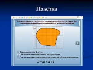 Площадь фигуры с помощью палетки 4 класс. Палетка для нахождения площади фигуры. Фигуры для определения площади палеткой. Палетка для измерения площади фигуры неправильной формы. Измерение с помощью палетки.