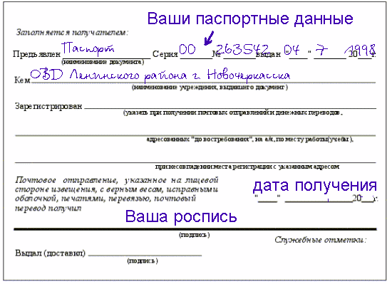 Образец заполнения формы по сайтам